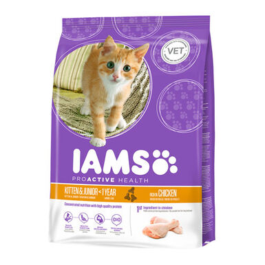 IAMS Kitten&Junior Pollo pienso para gatos
